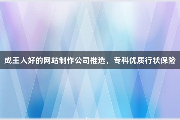 成王人好的网站制作公司推选，专科优质行状保险